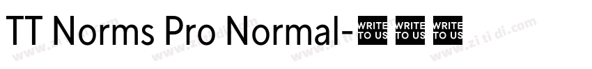 TT Norms Pro Normal字体转换 TT Norms Pro Normal字体转换